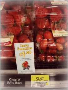 There ARE fresh fruit coupons from time to time! My savings mantra is "bit by bit, it all adds up!"